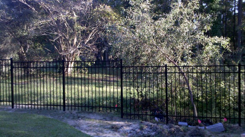black aluminum fence around trees