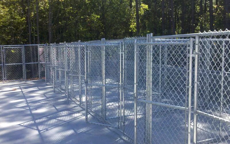multiple metal dog kennels